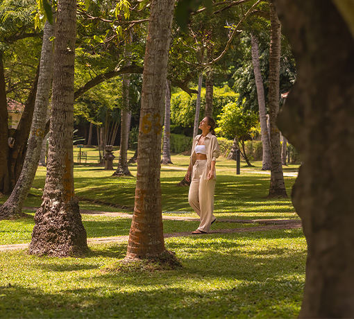 Garden Walks at Tamarind Tree