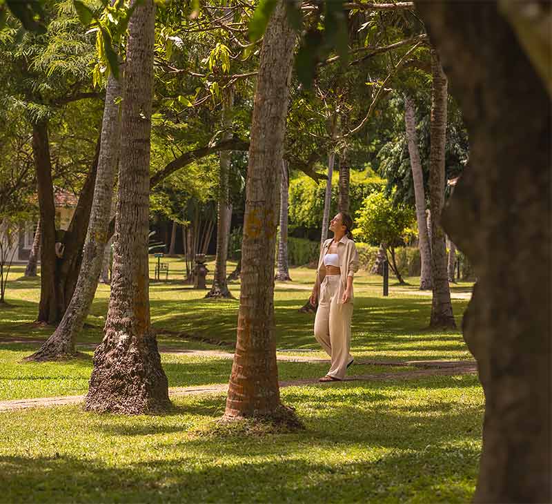 Garden Walks at Tamarind Tree