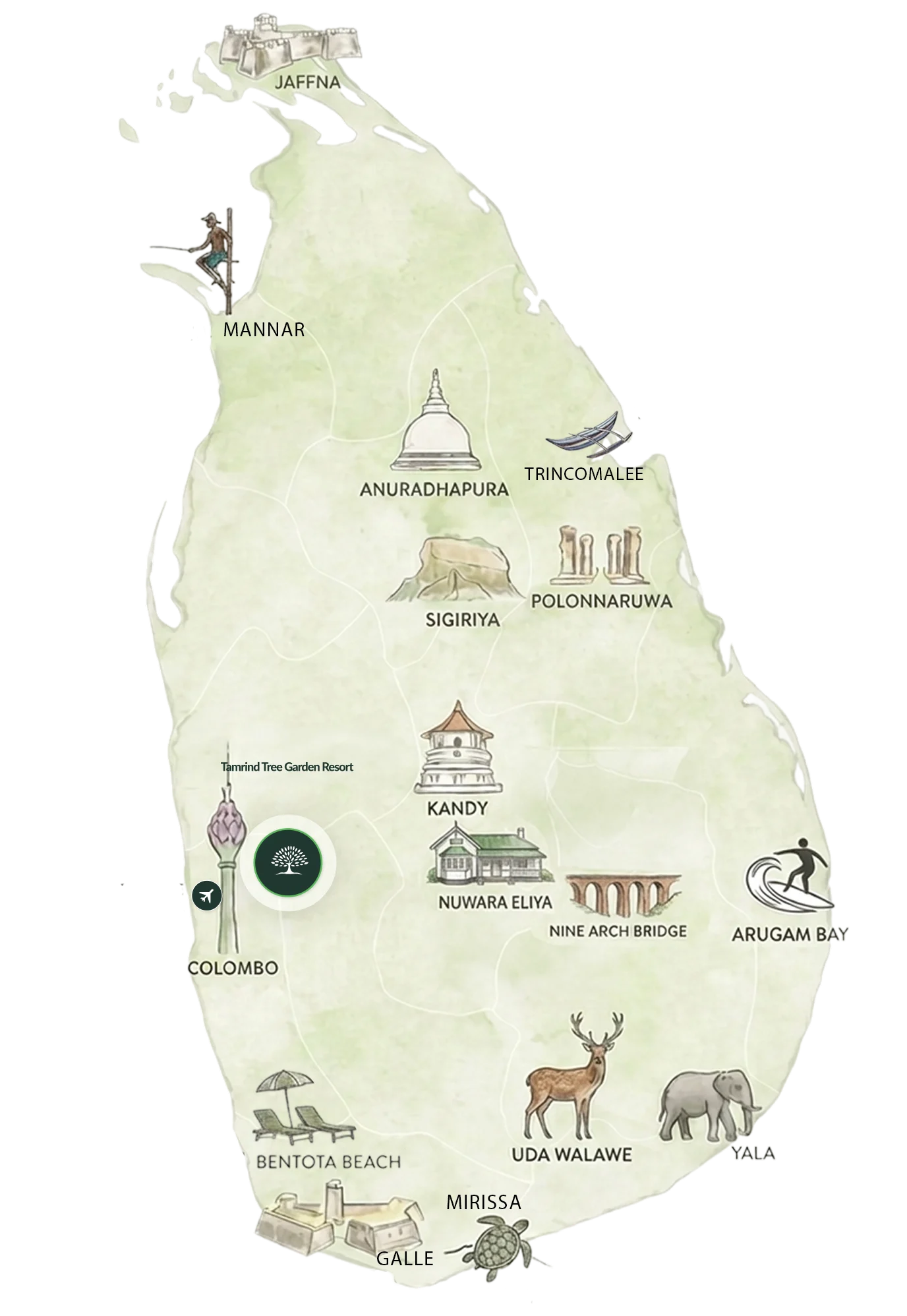 location of tamarind tree