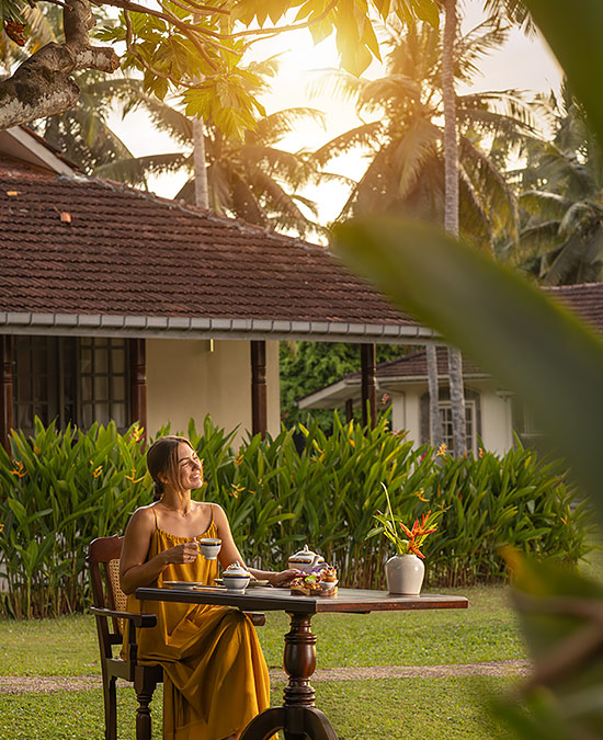 drinking tea at an outdoor table in a tamarind tree resort setting