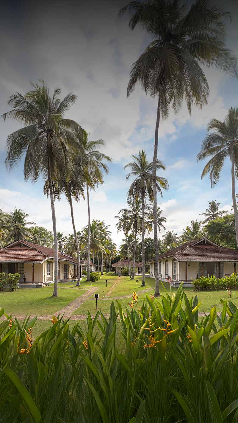 Accommodation