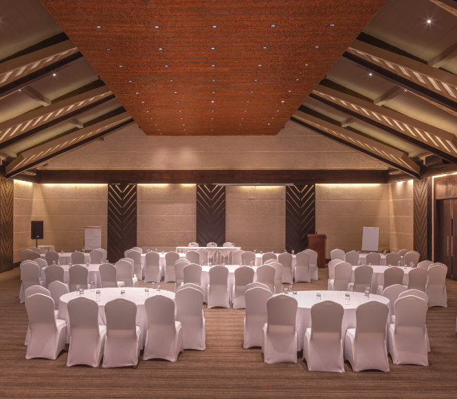 Meetings and Conferences