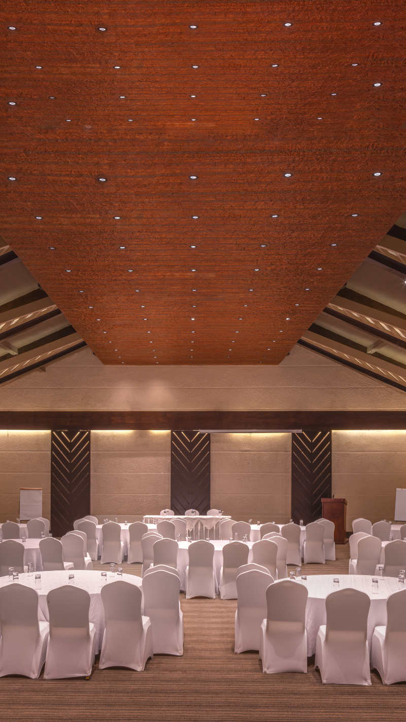Meetings and Conferences